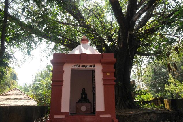 A people’s temple for the Buddha